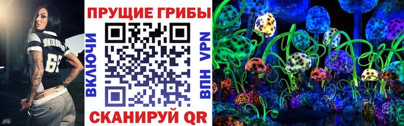 blacksprut зеркало  Павловск  Галлюциногенные грибы прущие грибы 